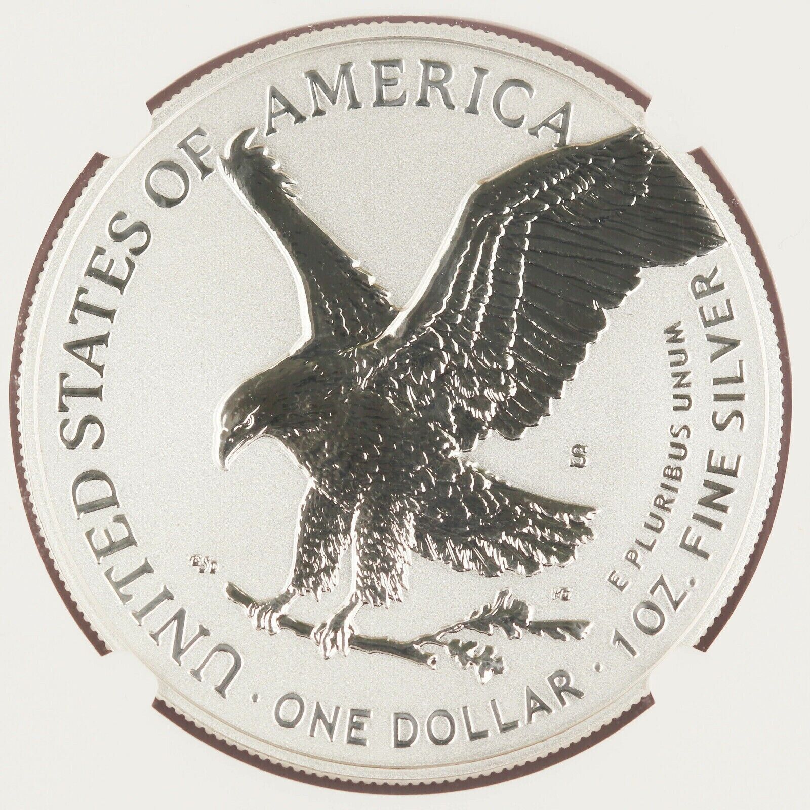 2021-S (PF70) Reverse Proof Silver Eagle Designer NGC Type 2 - Landing Eagle