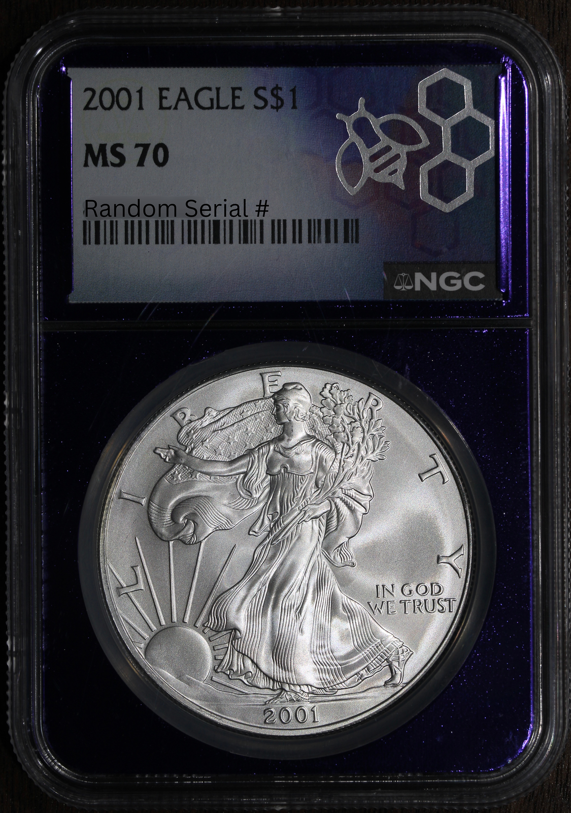 2001 (MS70) American Silver Eagle $1 ASE 1 oz NGC - Perfect 70