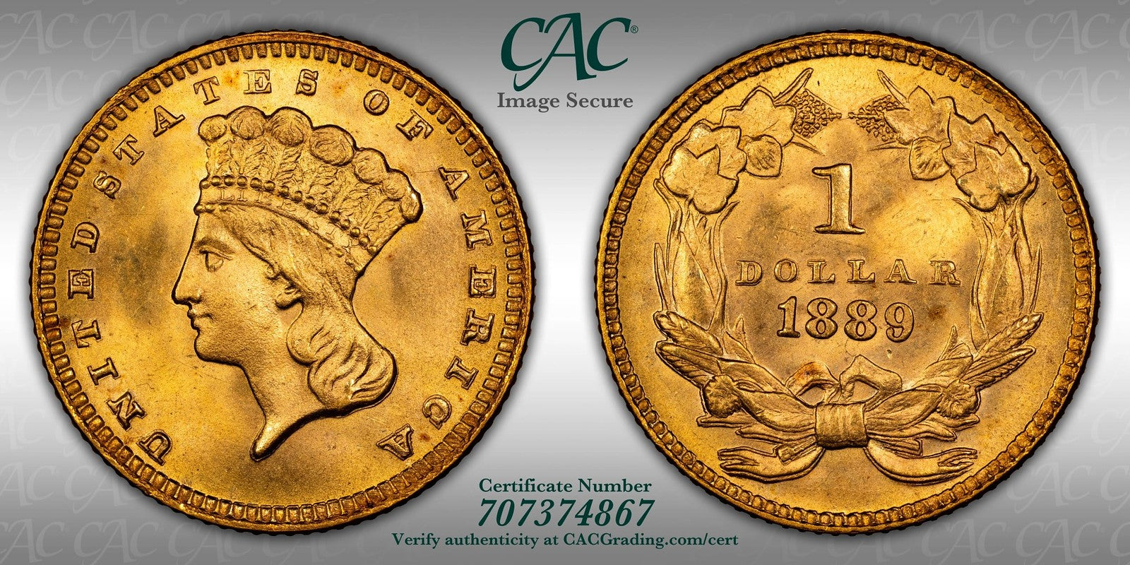 1889 (MS67 CAC) Type 3 Indian Princess Gold Dollar G$1 CACG - Superb GEM