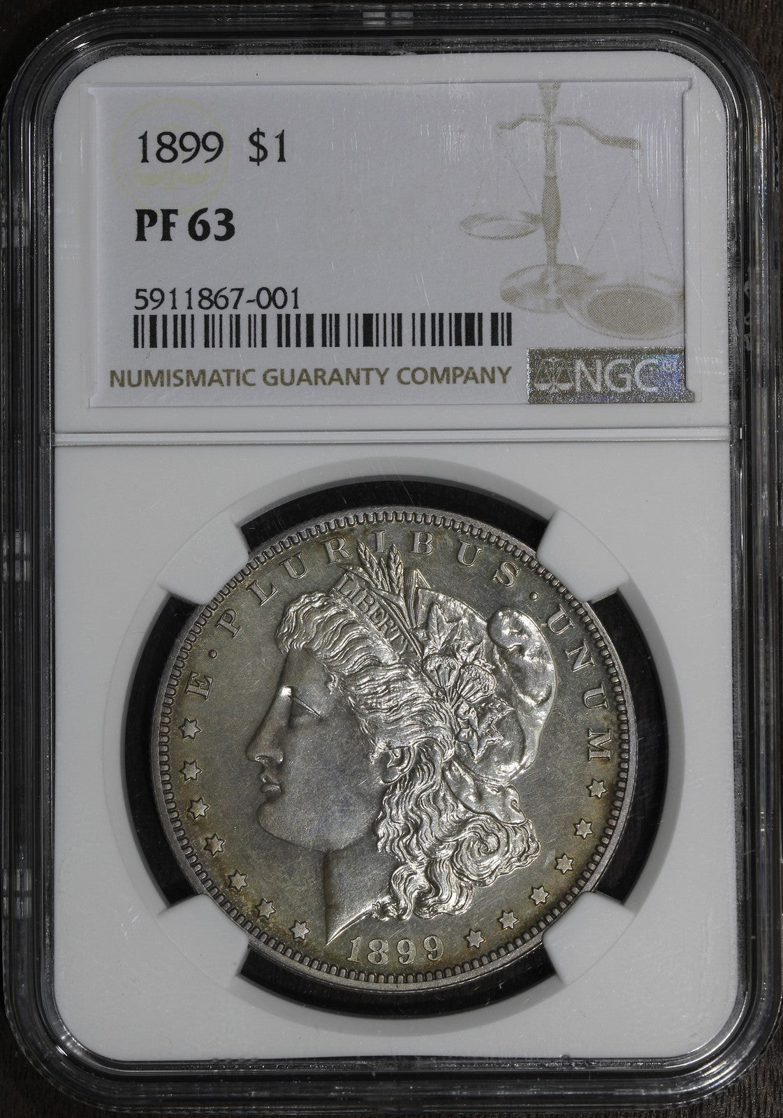 1899 (PF63) Proof Morgan Silver Dollar $1 NGC