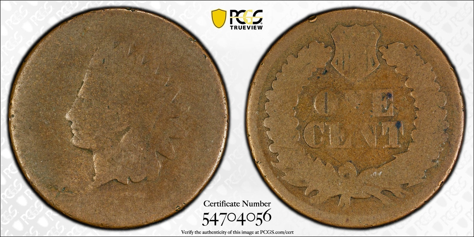1877 (FR02 CAC) Indian Head Cent 1C IHC PCGS - KEY DATE