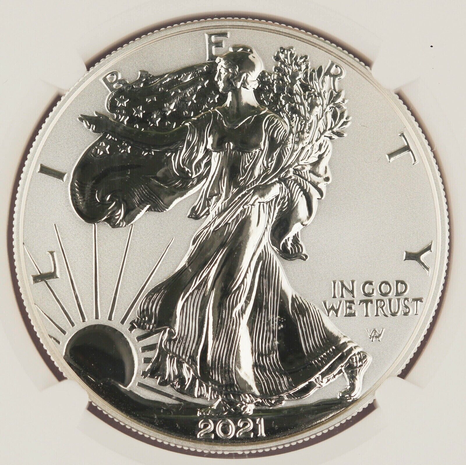 2021-S (PF70) Reverse Proof Silver Eagle Designer NGC Type 2 - Landing Eagle