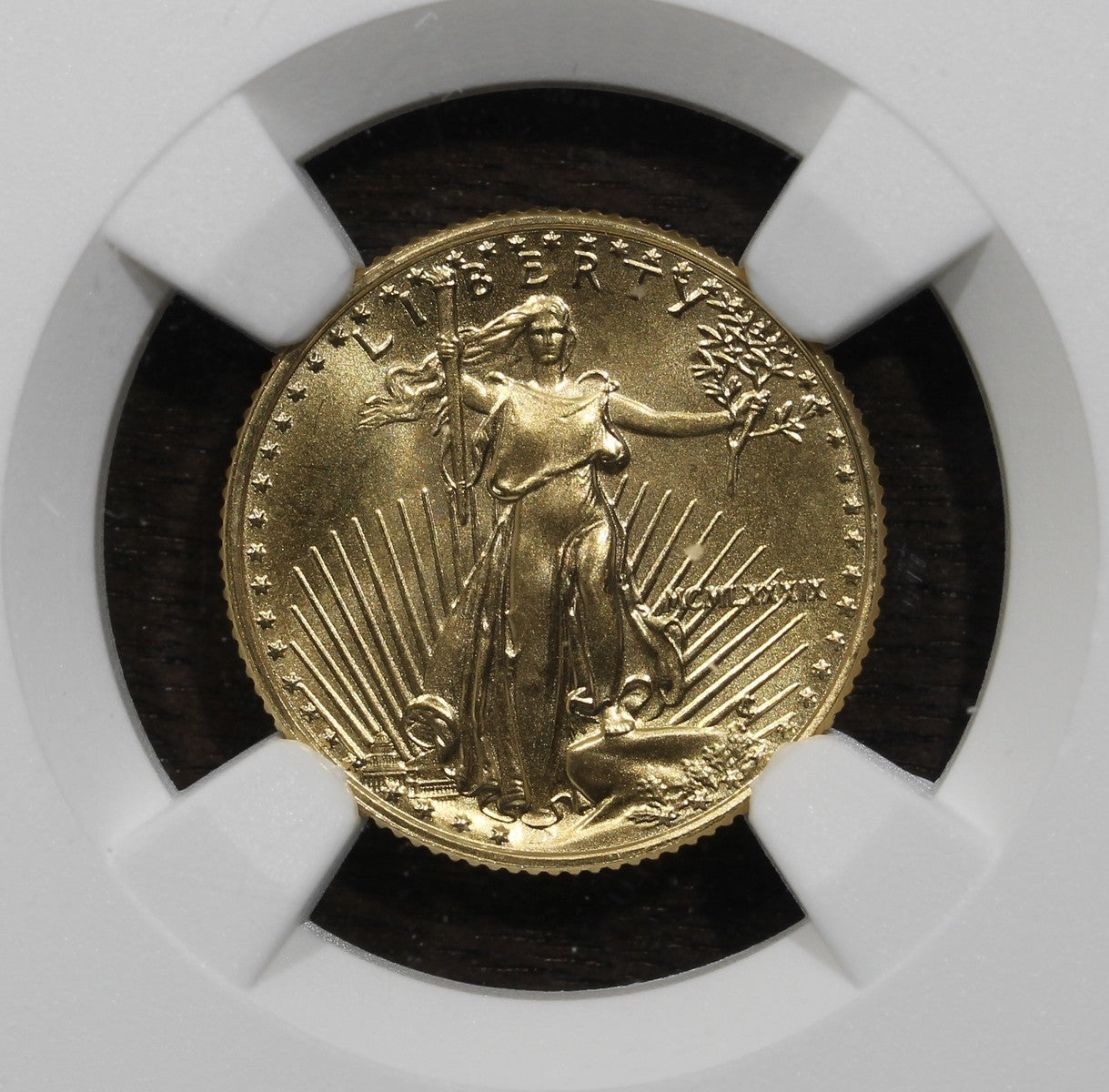 1989 (MS69) 1/10 oz American Gold Eagle $5 NGC