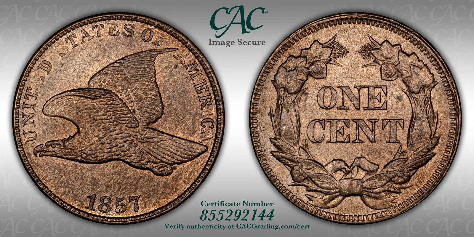 1857 (MS65 CAC) Flying Eagle Cent 1C CACG
