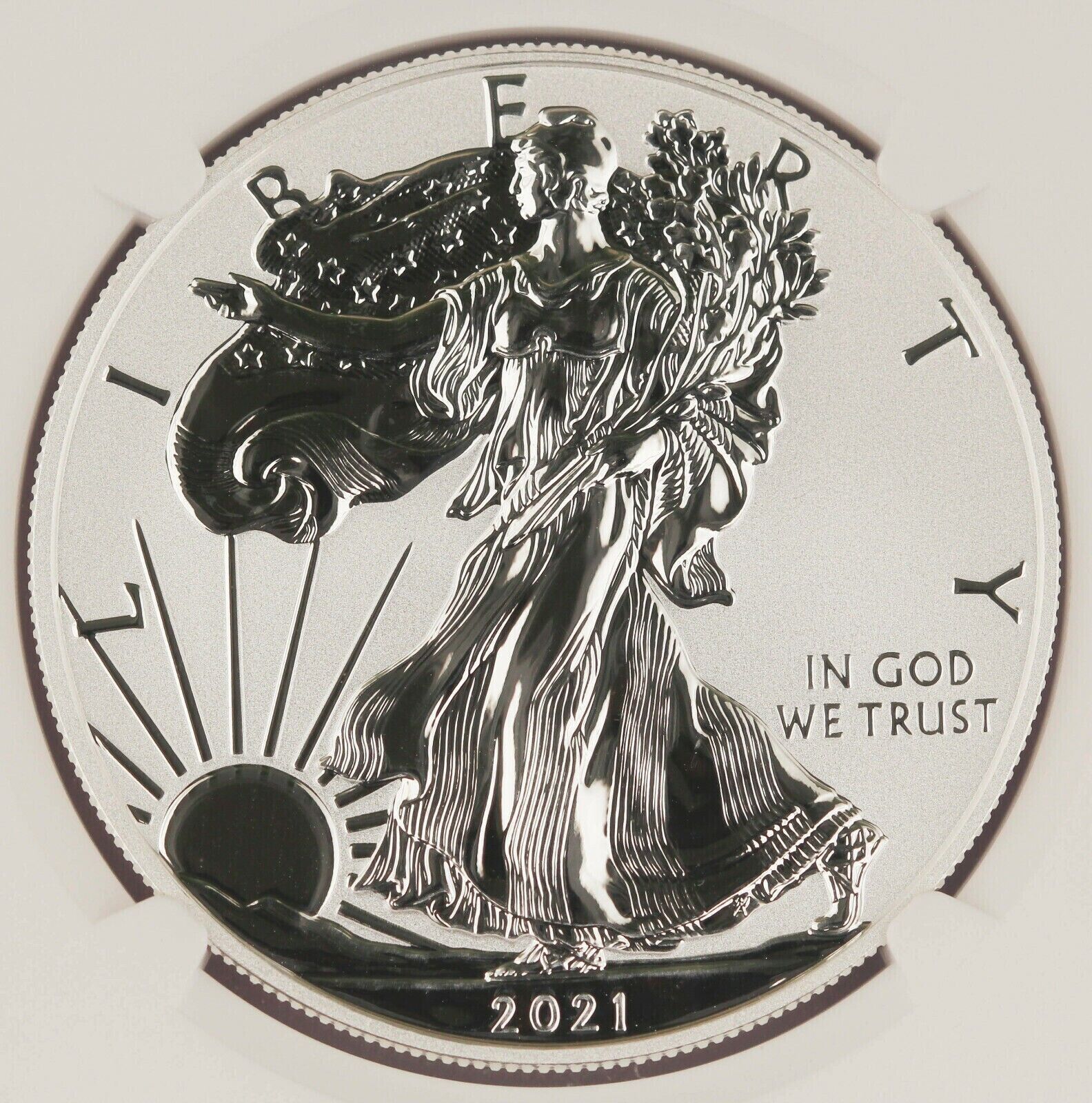 2021-W & S (PF70) Reverse Proof Silver Eagle Designer 2 Coin Set NGC Type 1 & 2