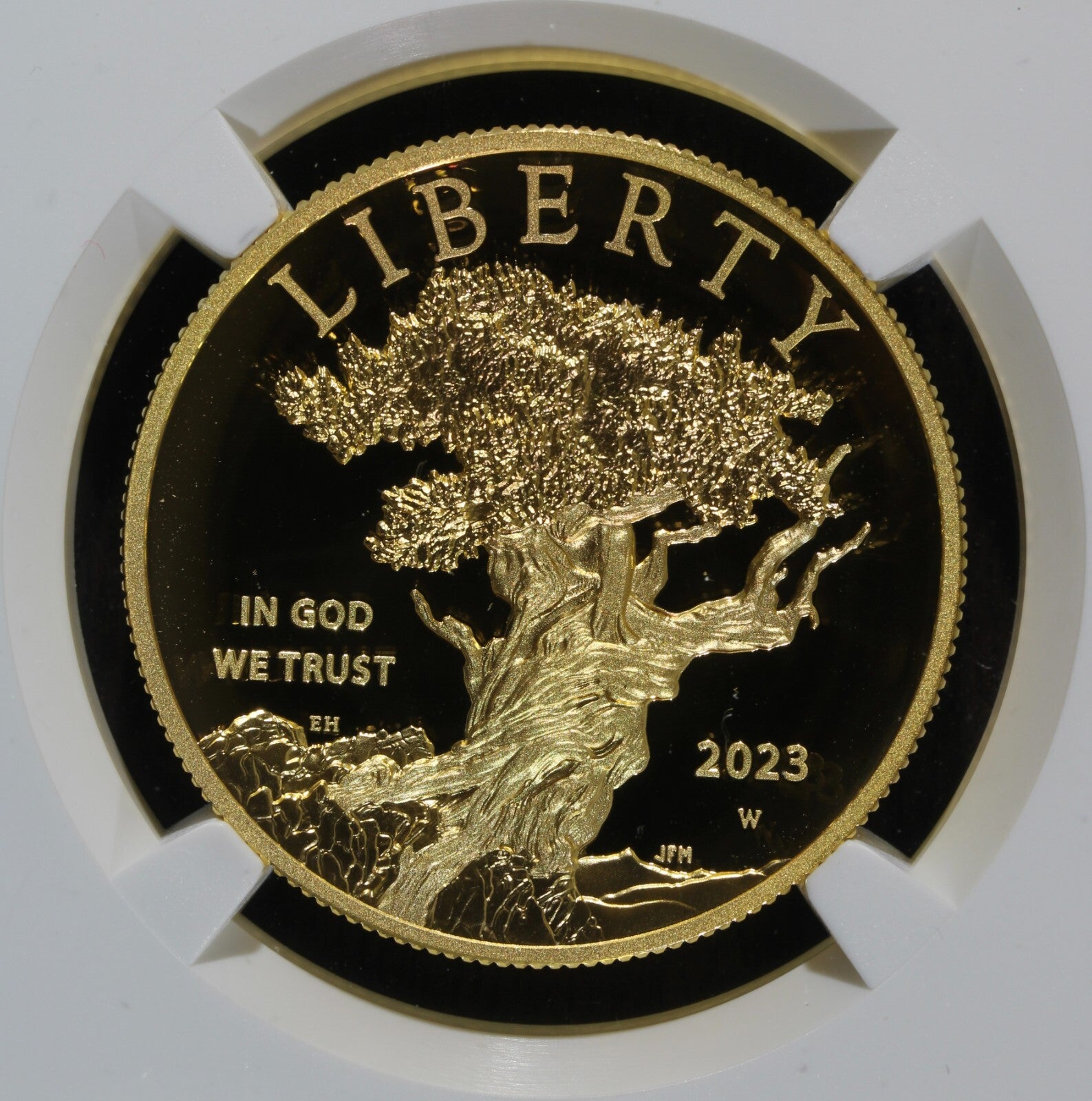 2023-W (PR70) 1 oz High Relief Proof Gold American Liberty $100 NGC FD - Signed