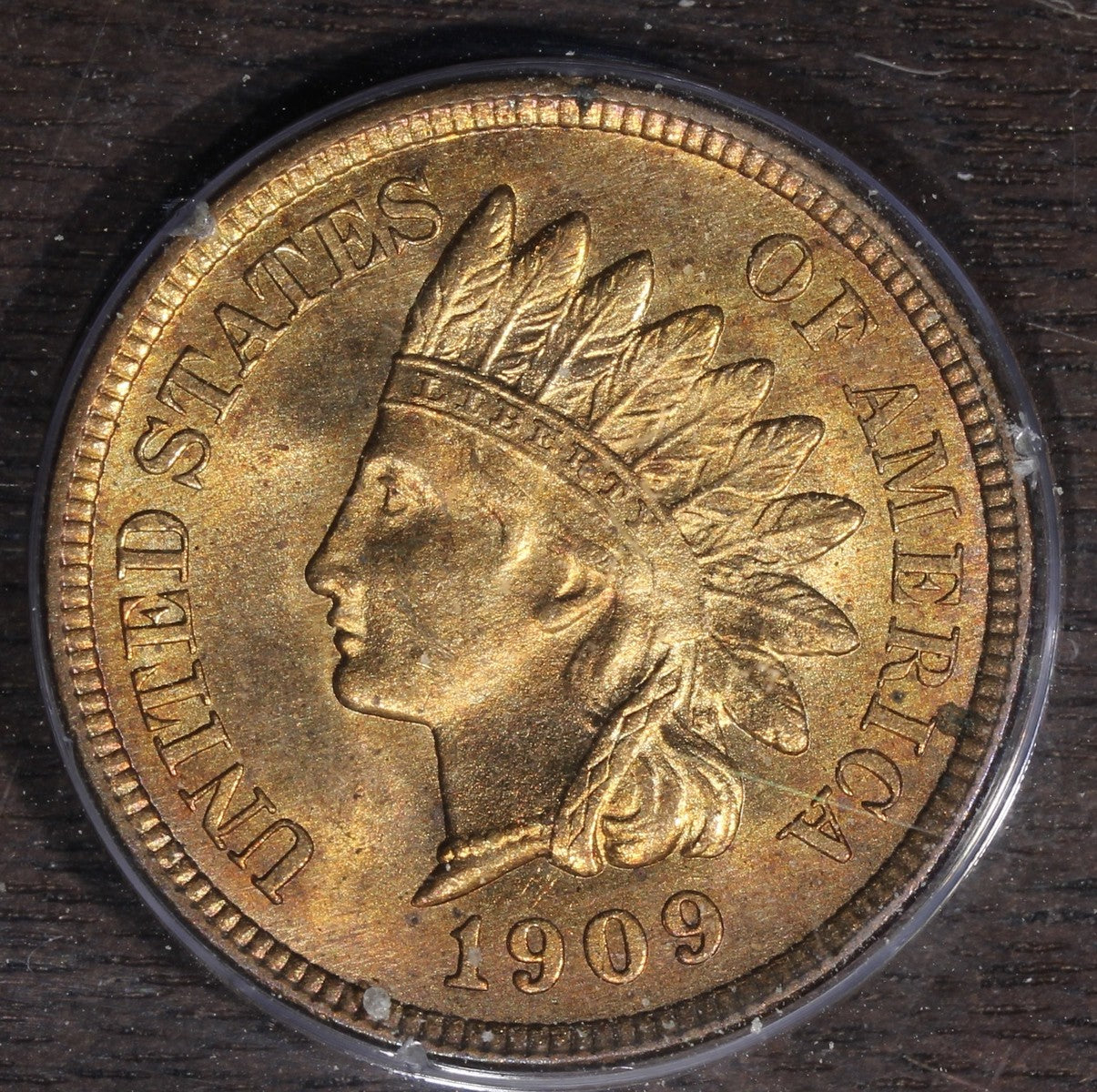 1909 (MS64 RD) Indian Head Cent 1C IHC PCGS Rattler - Red