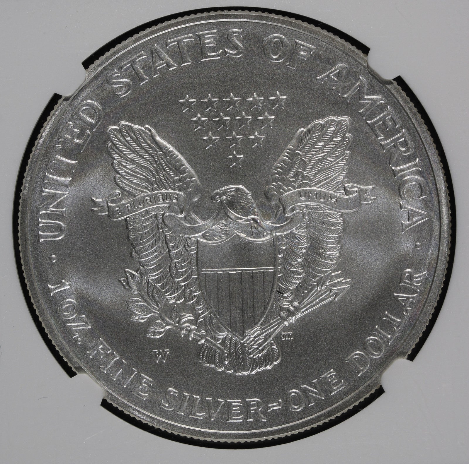 2008-W rev '07 (MS70) Burnished American Silver Eagle $1 ASE NGC - 2007 Reverse!