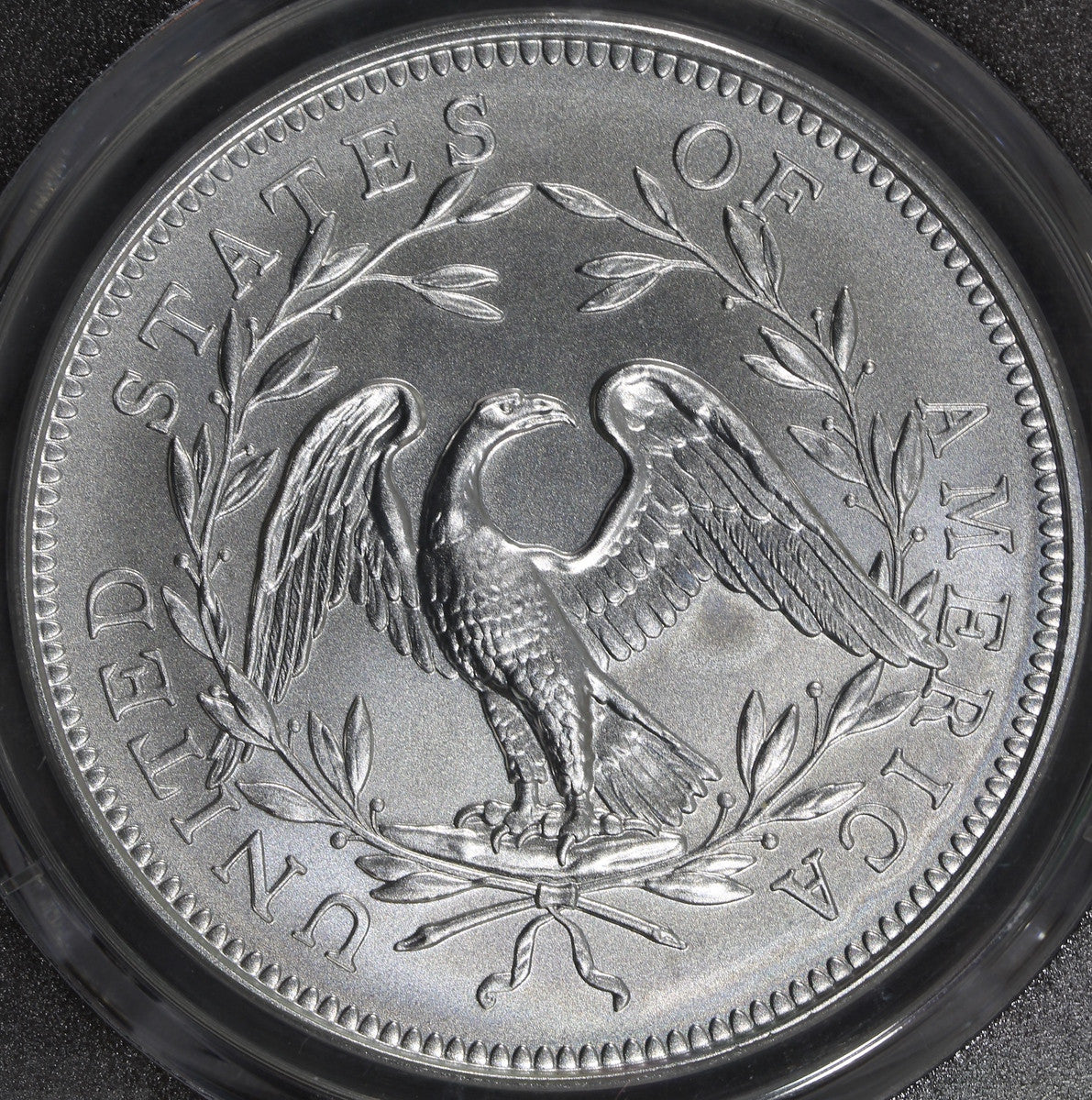 2024 (MS70) Flowing Hair Silver Medal 230th Anniversary (PRIVY) PCGS