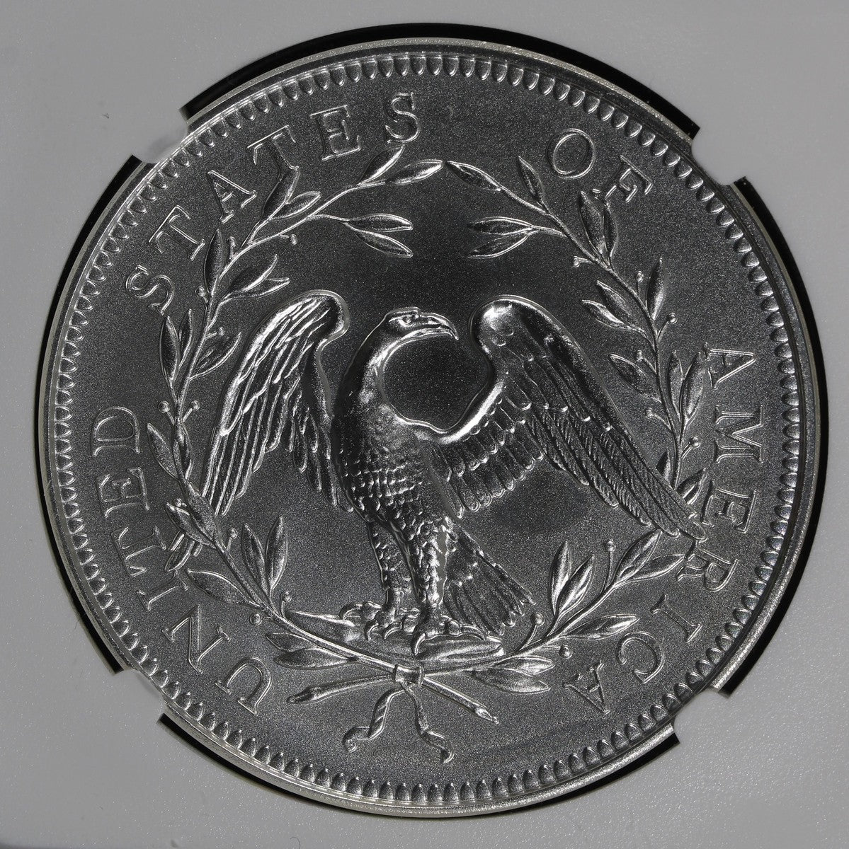 2024 (MS70) Flowing Hair Silver Medal 230th PRIVY NGC FDOI First Day of Issue