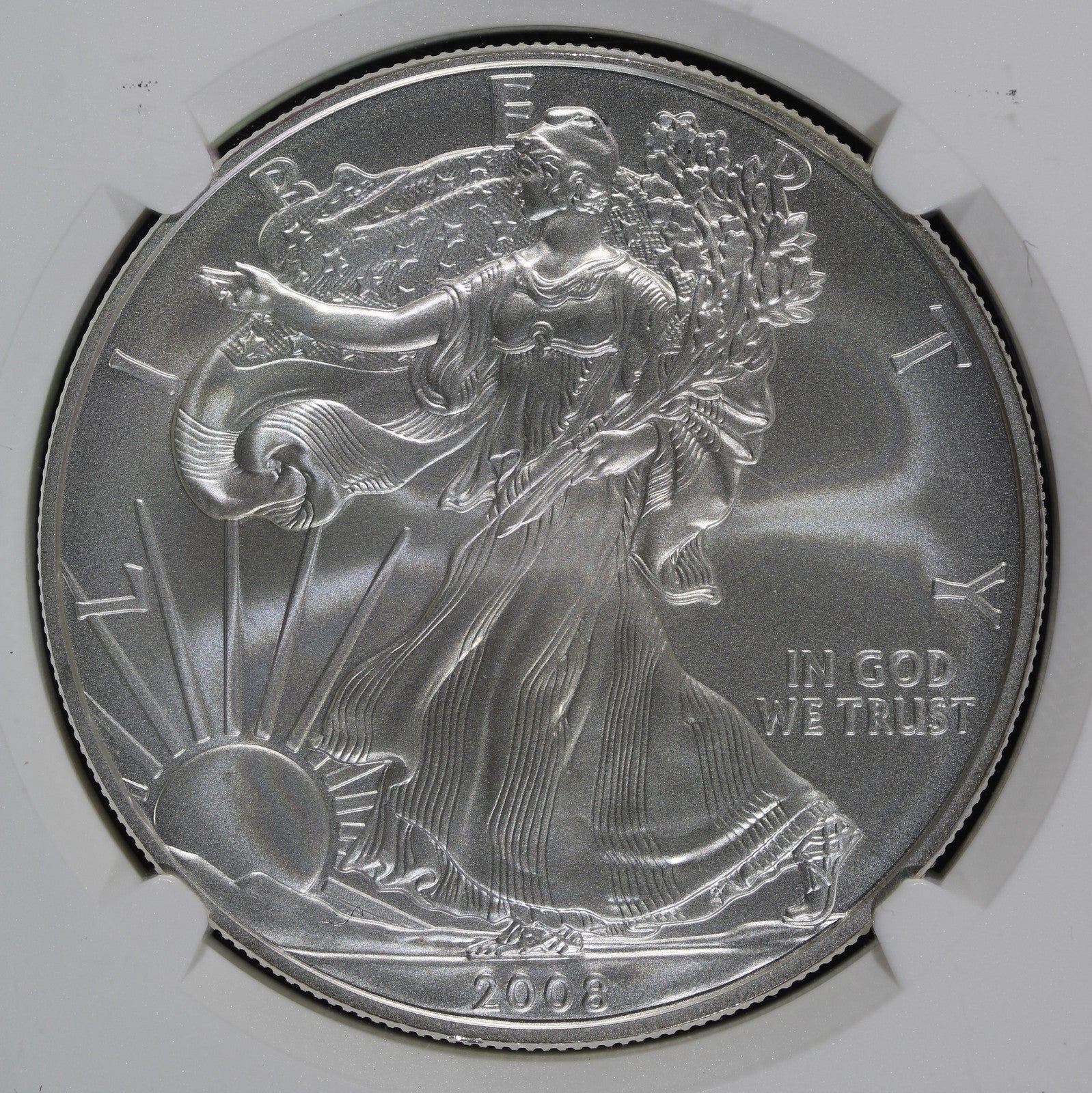2008-W rev '07 (MS70) Burnished American Silver Eagle $1 ASE NGC - 2007 Reverse!