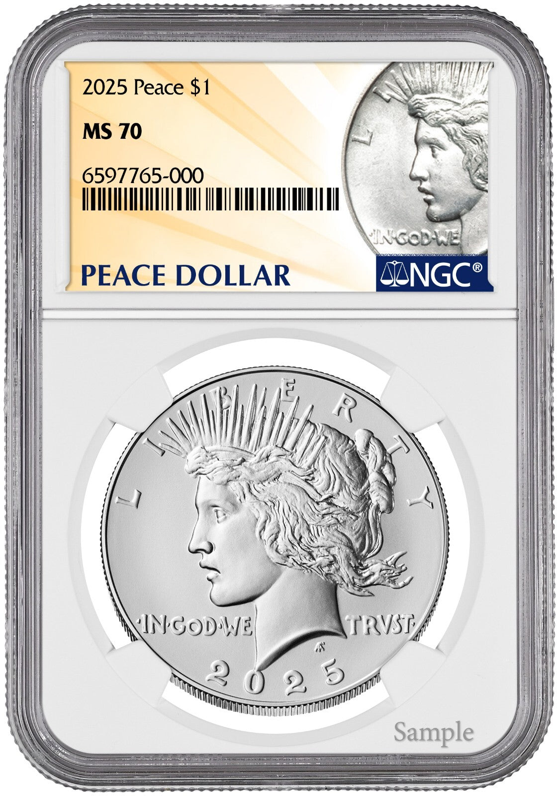 2025-P (MS70) Morgan & Peace Silver Dollar (2 Coin Set) NGC