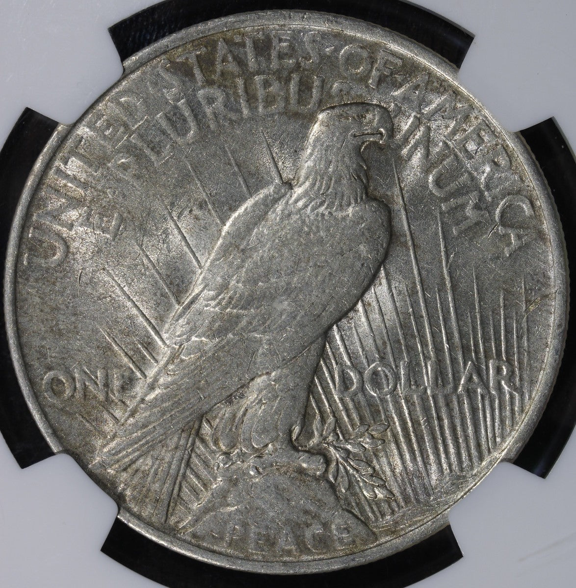 1923 (AU55) Peace Silver Dollar $1 NGC - Vam 1-D Whisker Cheek Top 50