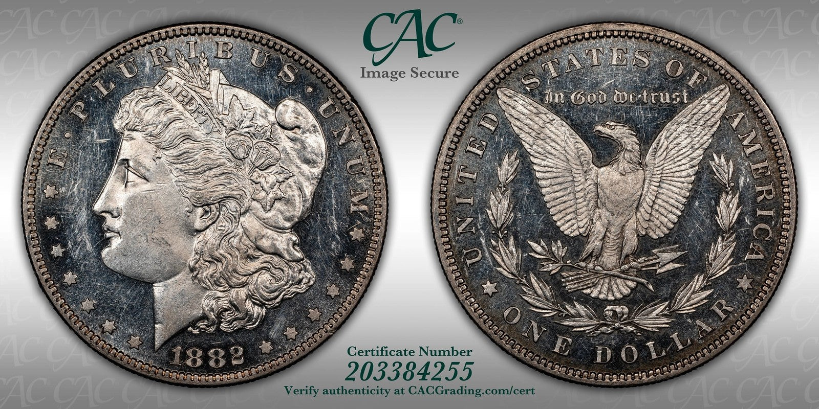 1882 (PR61 CAMEO CAC) Proof Morgan Silver Dollar $1 CACG - Lovely Surfaces