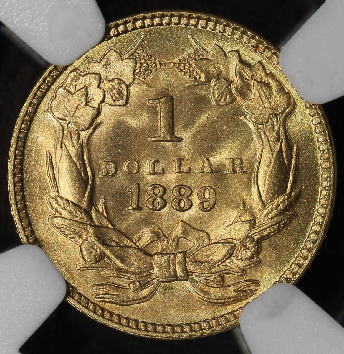 1889 (MS68) Type 3 Indian Princess Gold Dollar G$1 NGC - Near Flawless