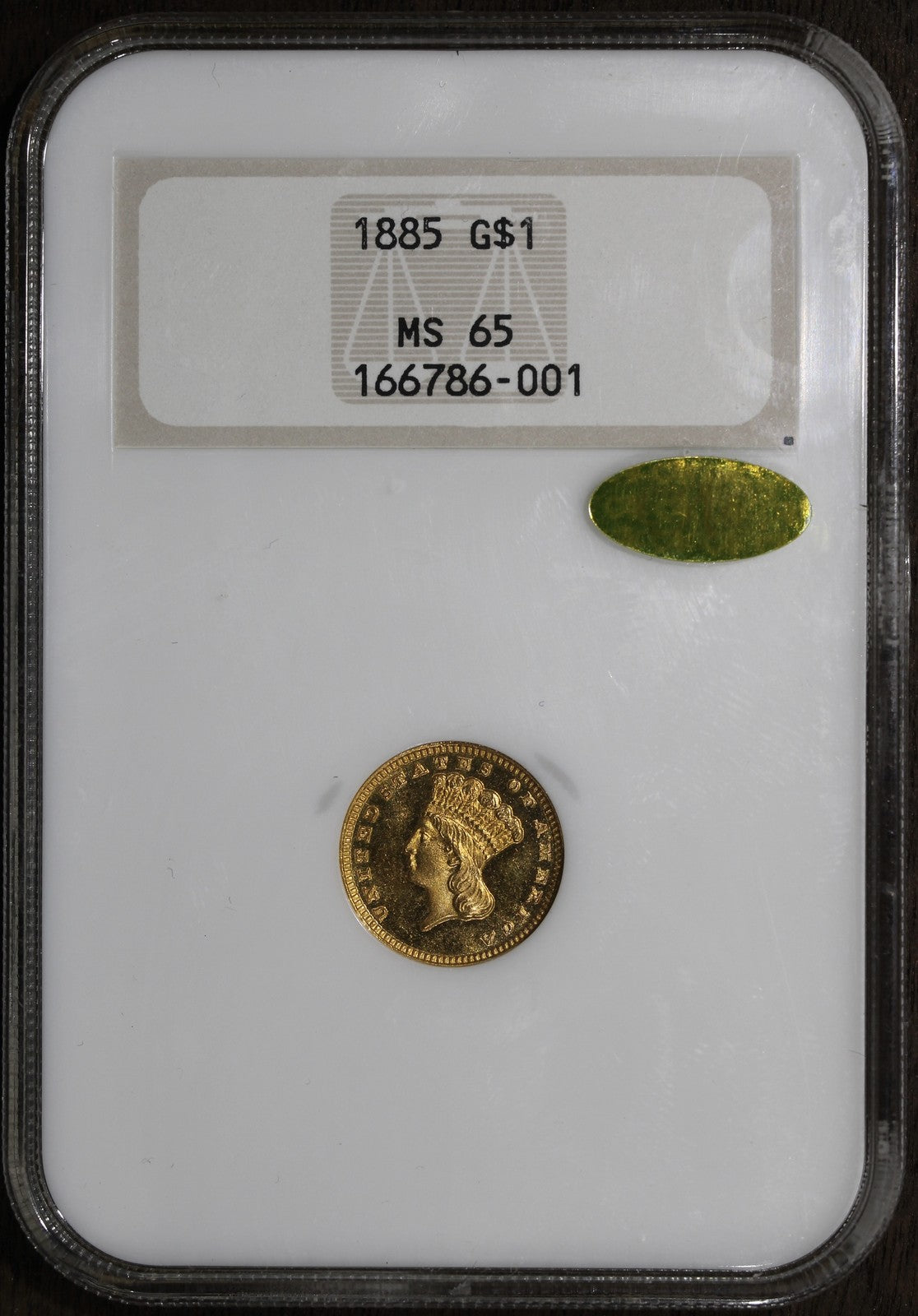 1885 (MS65 GOLD CAC) Type 3 Indian Princess Gold Dollar G$1 NGC - Fatty