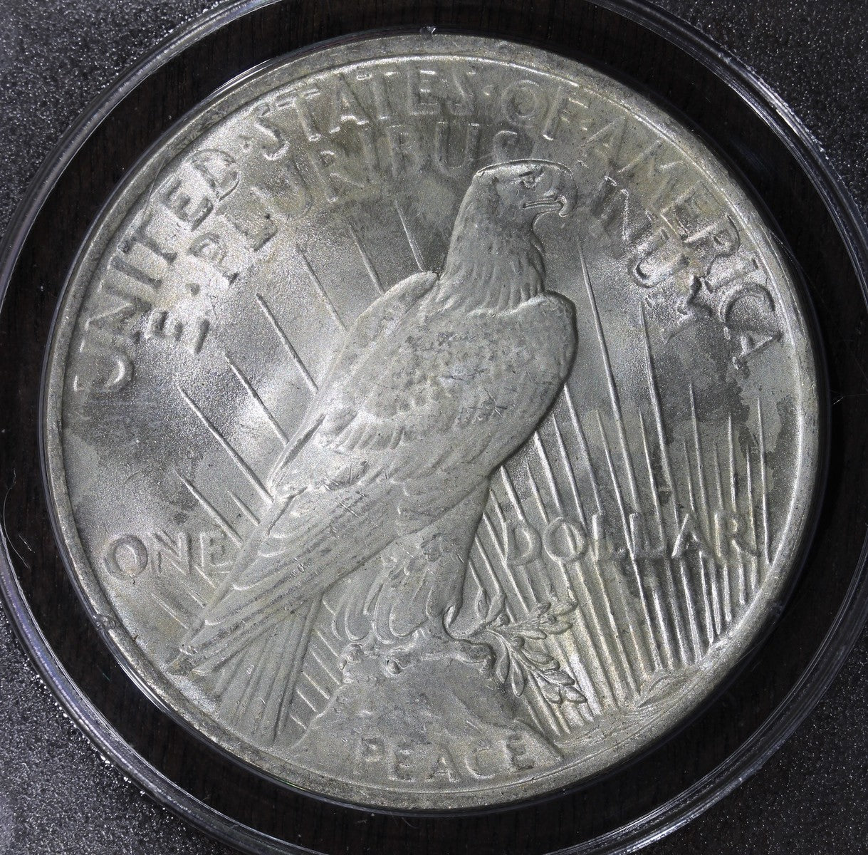 1923 (MS63) Peace Silver Dollar $1 PCGS OGH - RATTLER