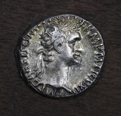 Domitian Roman Empire AR Silver Denarius 81-96 A.D