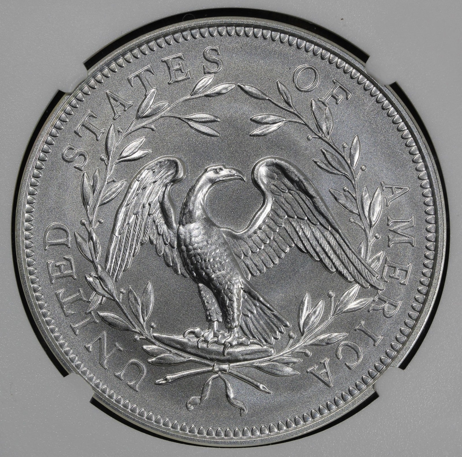 2024 (MS70) Flowing Hair Silver Medal 230th Anniversary NGC - FDOI