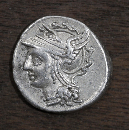 Roman Republic C. Coelius Caldus AR Silver Denarius 104 B.C
