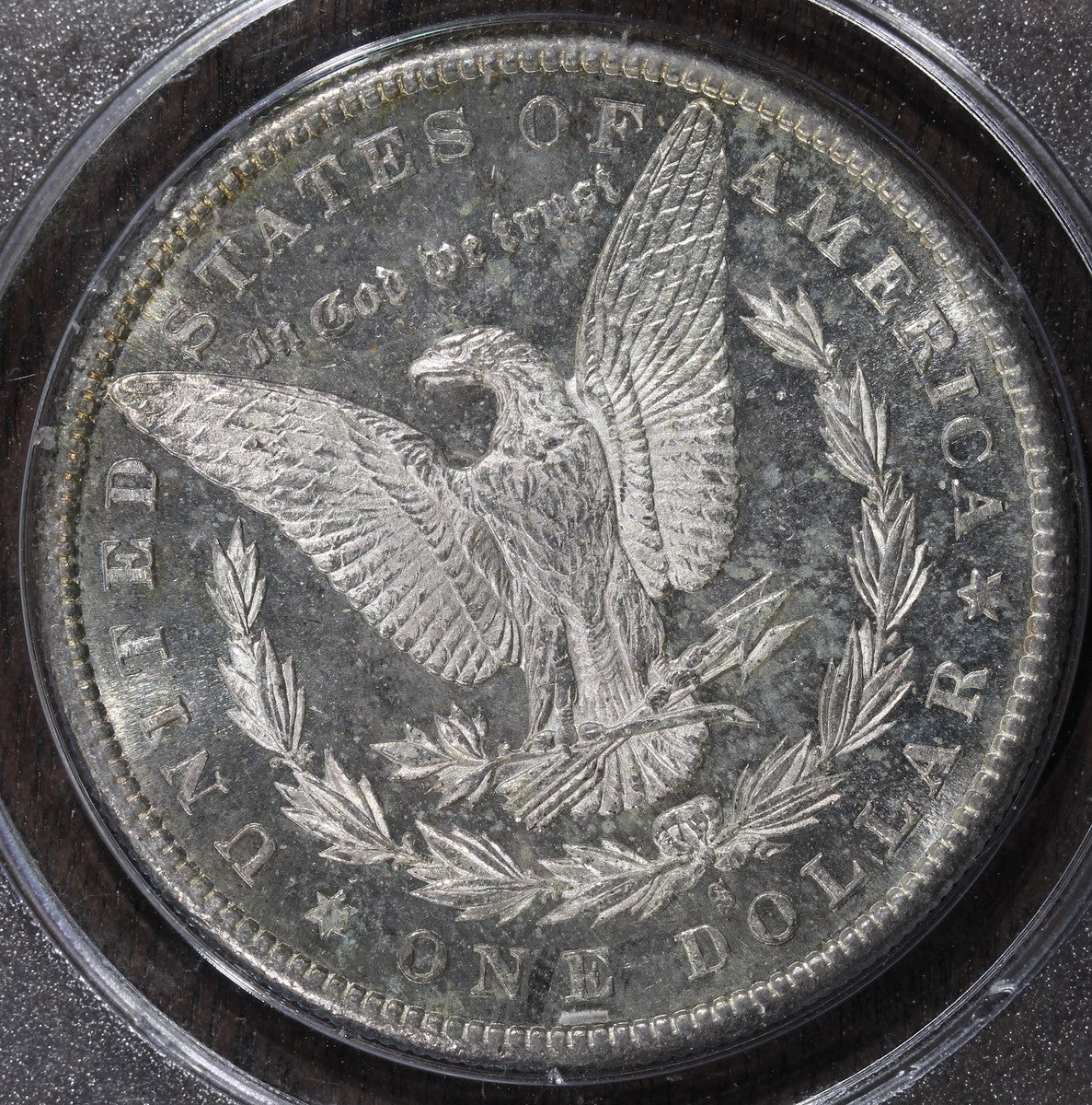 1880-S (MS62 DMPL CAC) Morgan Silver Dollar $1 PCGS Rattler - Deep Mirrors