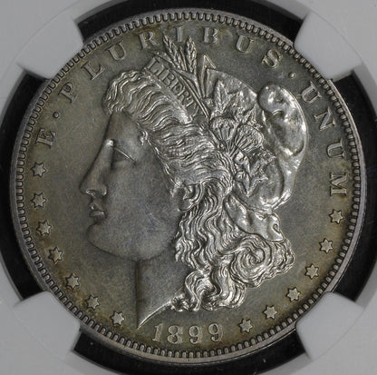 1899 (PF63) Proof Morgan Silver Dollar $1 NGC