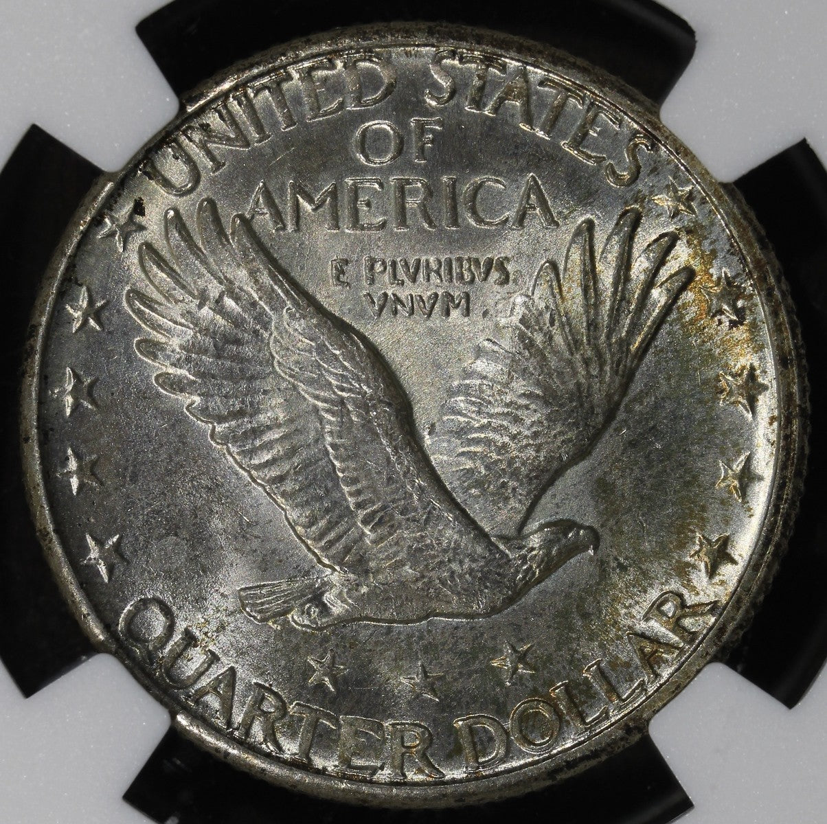 1924-D (MS66+ PLUS CAC) Standing Liberty Quarter 25C SLQ NGC