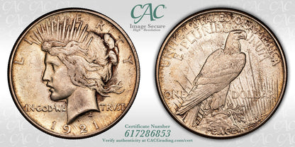 1921 (MS63 CAC) High Relief Peace Dollar $1 CACG
