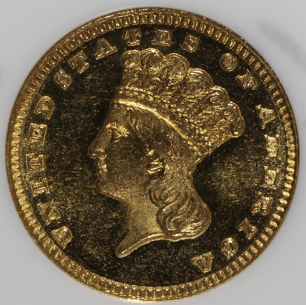 1885 (MS65 GOLD CAC) Type 3 Indian Princess Gold Dollar G$1 NGC - Fatty