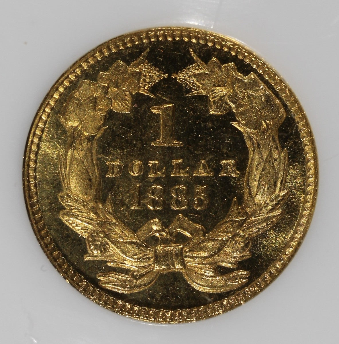1885 (MS65 GOLD CAC) Type 3 Indian Princess Gold Dollar G$1 NGC - Fatty