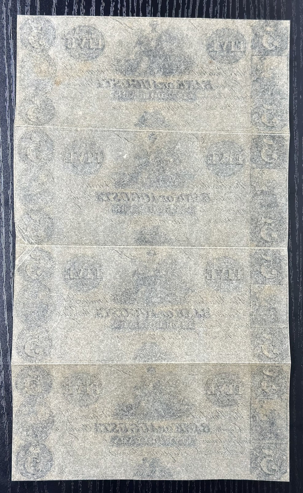 1800's Bank of Augusta Obsolete Bank Note Uncut Sheet $5,5,5,5 - Remainder