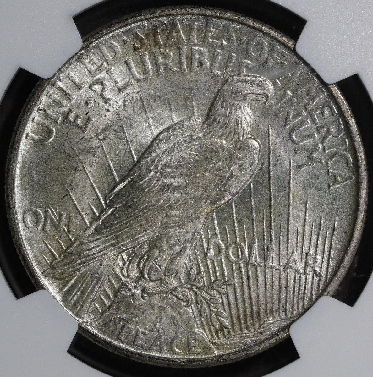 1921 (MS65+ CAC) High Relief Peace Silver Dollar $1 NGC - Gem!