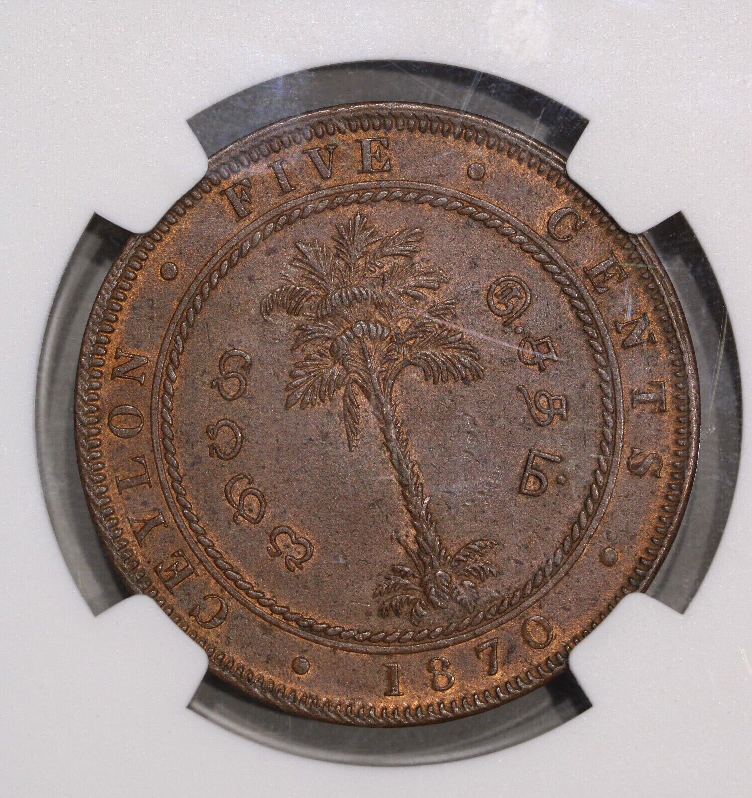 1870 Ceylon Sri Lanka 5 Cent Copper Coin NGC AU 58 BN