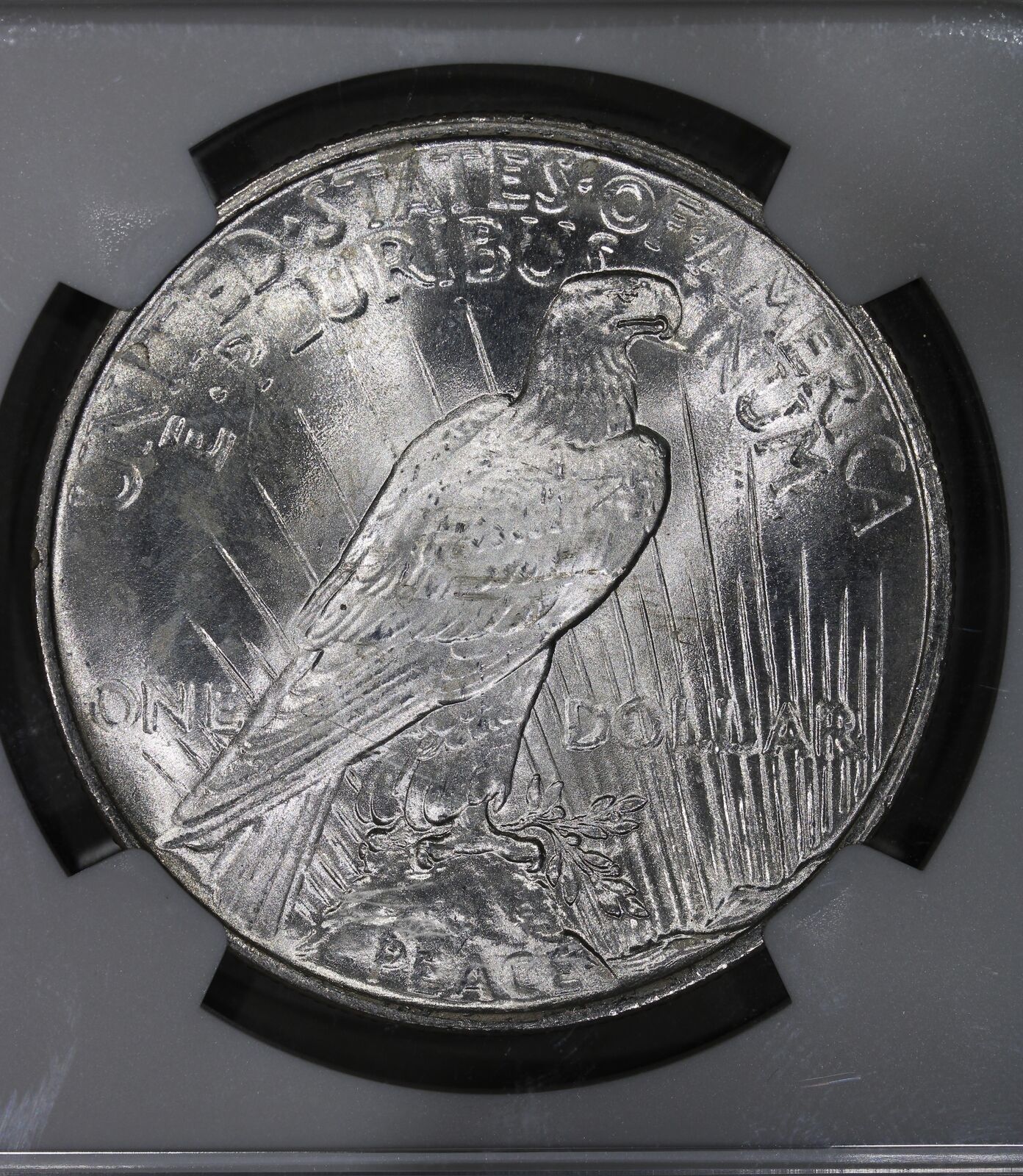 1924 (MS65+ PLUS) Peace Silver Dollar $1 NGC Graded Coin - BLAST WHITE